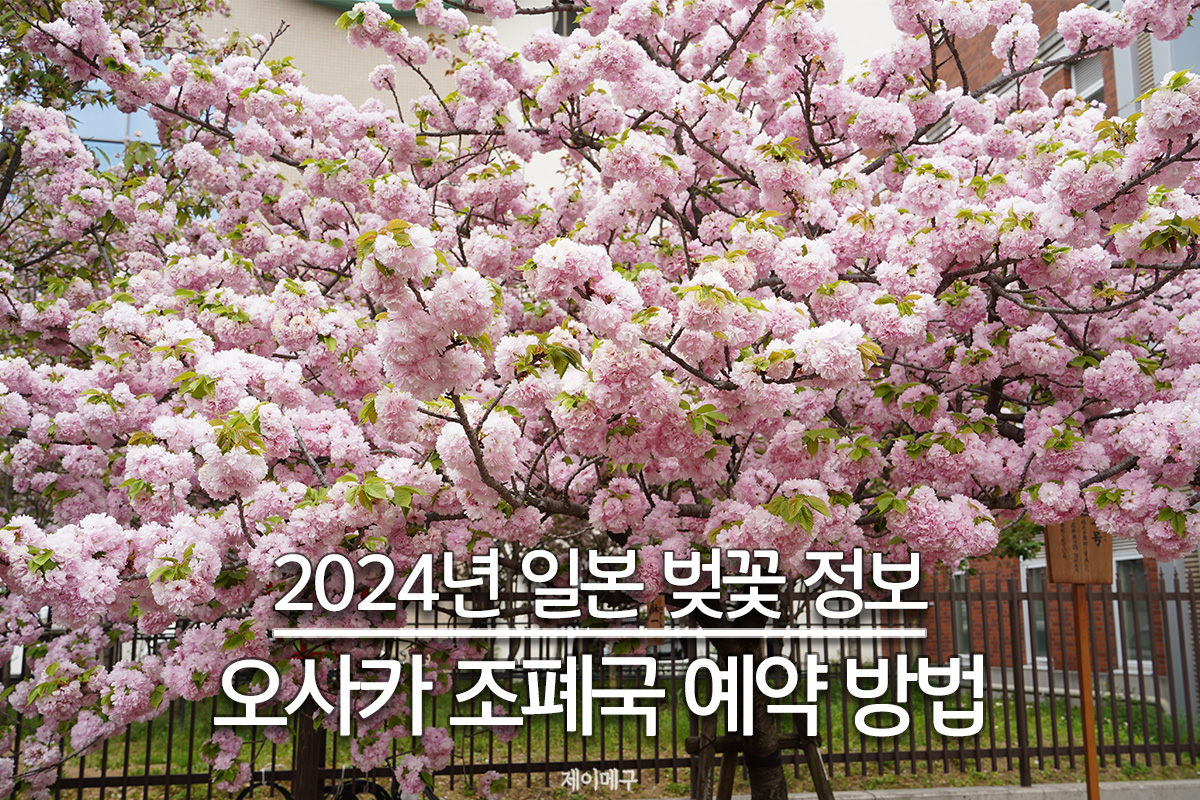 오사카 벚꽃 명소 조폐국 일정 및 예약 방법 대표