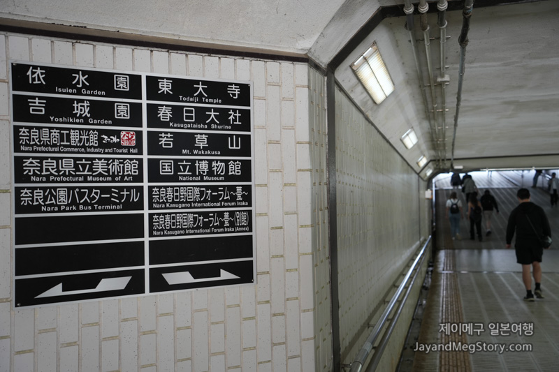 나라 이자사 감잎 초밥