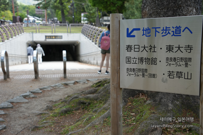 나라 이자사 감잎 초밥