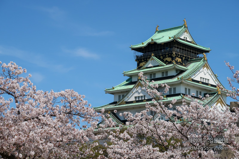 오사카 벚꽃 명소