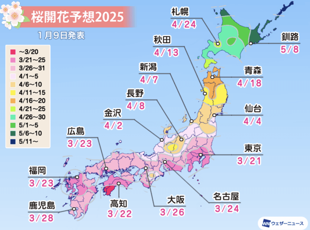 2025 일본 벚꽃 개화시기