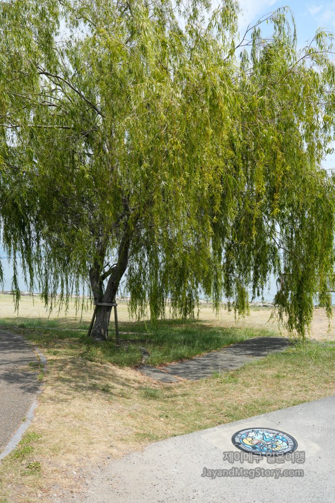 포켓몬 오쓰시 맨홀 갸라도스 첫번째 위치 2