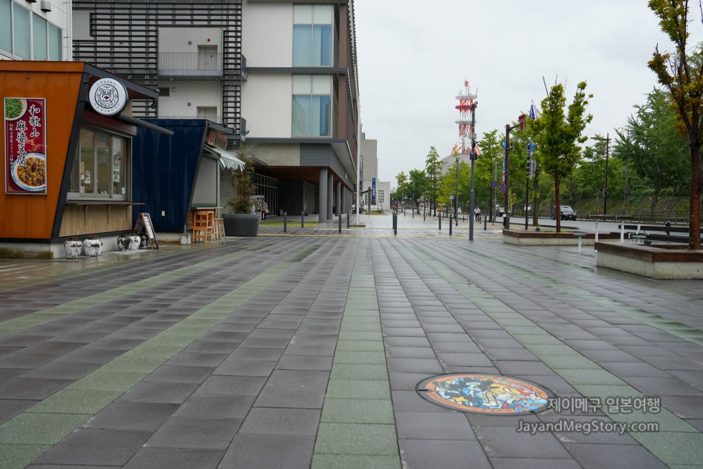 와카야마 와카야마시 포켓몬 맨홀 렝트라 누리레느 위치